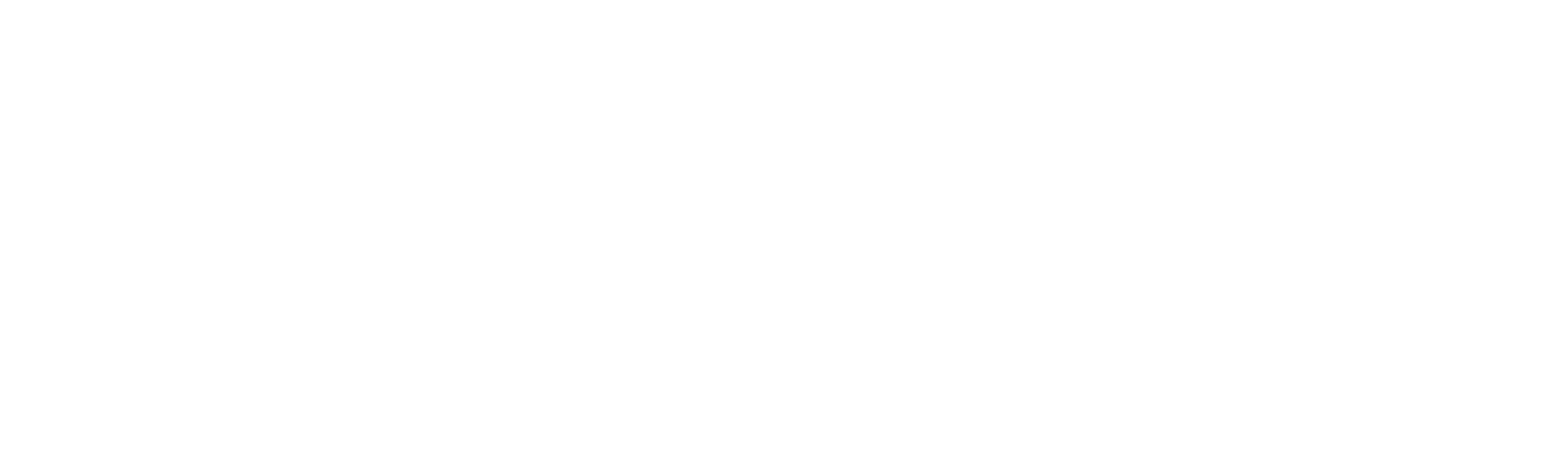 Blue Illusion logo